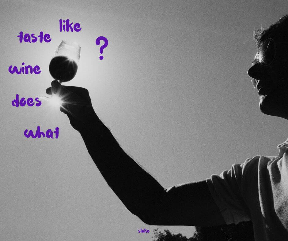 person holding a glass of wine to the sun, and the words what does wine taste like, surrounding the glass