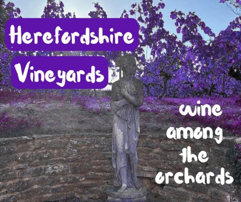 Herefordshire Vineyards: Wine Among the Orchards