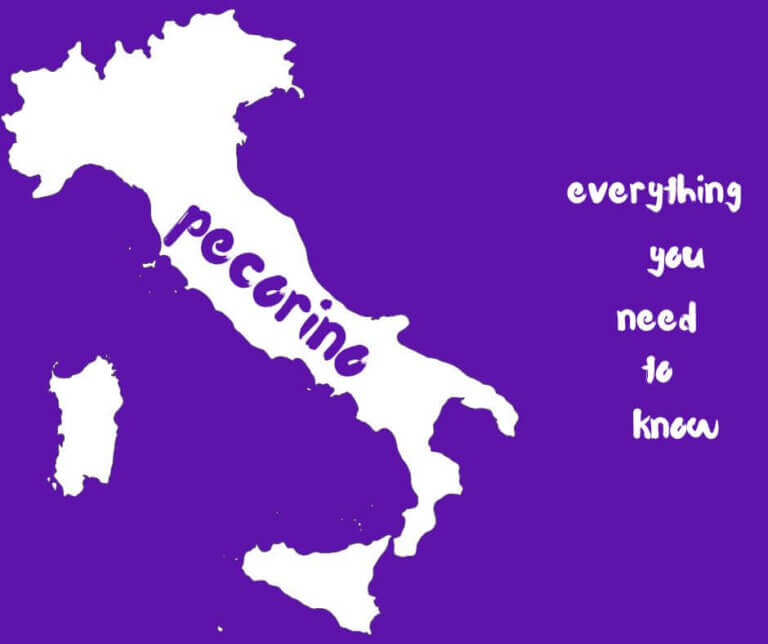 outline of italy and the words pecorino - everything you need to know