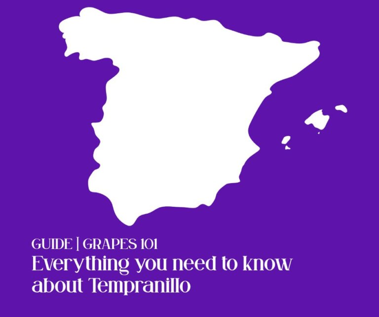 Tempranillo Wine: Complete Guide to Spain’s Famous Red Grape